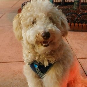 Meet your Posher, Laura